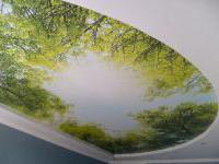 натяжной потолок с фотопечатью